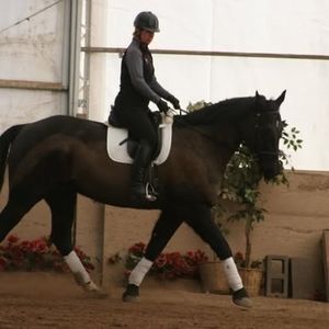 Meet your Posher, Gail